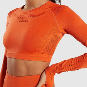 Seamless Yoga Long Sleeve Knit  Yoga Top Fitness Long Sleeve Women Shirts Workout Gym Crop Top Breathable Sport Shirt Women