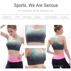 Sport Bra Gradient High Stretch Sports Bras Women Quick Dry Padded Sports Top Fitness Yoga Running Gym Seamless Sport Bra Top