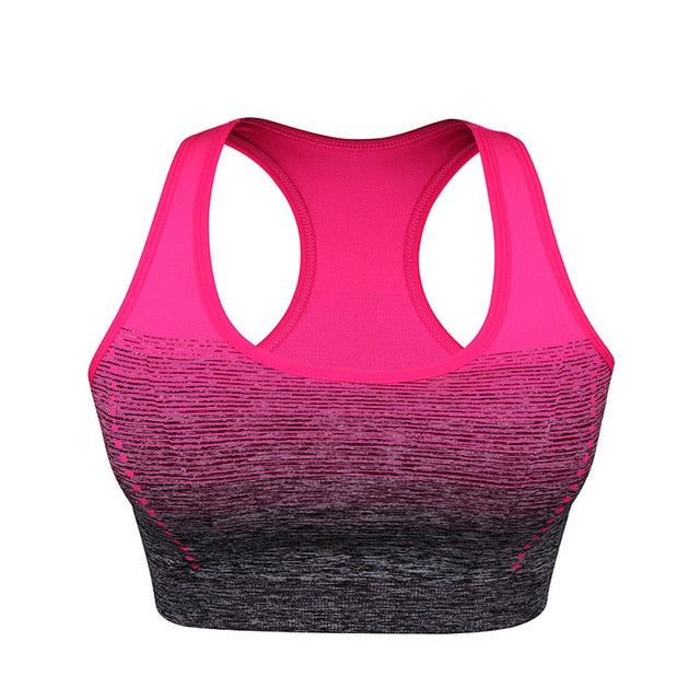 Sport Bra Gradient High Stretch Sports Bras Women Quick Dry Padded Sports Top Fitness Yoga Running Gym Seamless Sport Bra Top